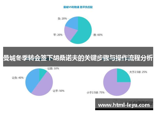 曼城冬季转会签下胡桑诺夫的关键步骤与操作流程分析