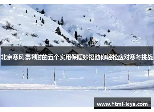 北京寒风凛冽时的五个实用保暖妙招助你轻松应对寒冬挑战