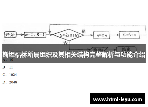 斯坦福桥所属组织及其相关结构完整解析与功能介绍