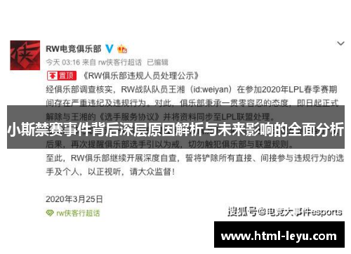 小斯禁赛事件背后深层原因解析与未来影响的全面分析
