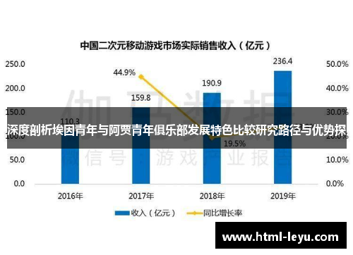 深度剖析埃因青年与阿贾青年俱乐部发展特色比较研究路径与优势探 深度剖析埃因青年与阿贾青年俱乐部发展特色比较研究路径与优势探