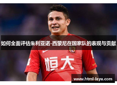 如何全面评估朱利亚诺-西蒙尼在国家队的表现与贡献